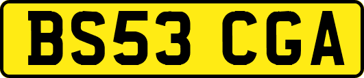 BS53CGA