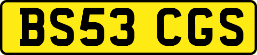 BS53CGS