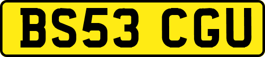 BS53CGU