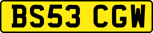 BS53CGW