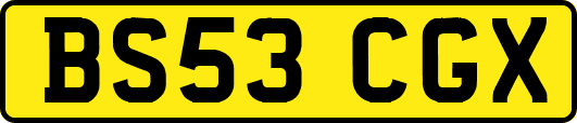 BS53CGX