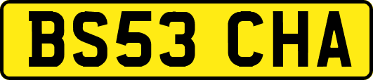 BS53CHA