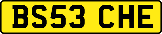 BS53CHE