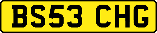 BS53CHG
