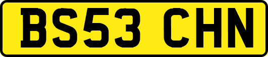 BS53CHN