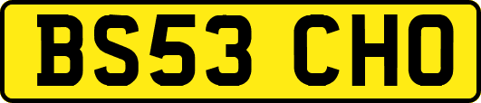BS53CHO
