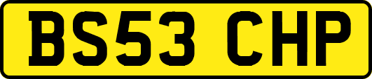 BS53CHP