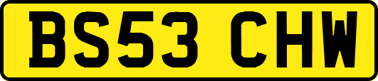 BS53CHW