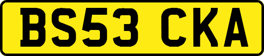 BS53CKA