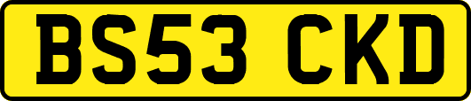 BS53CKD