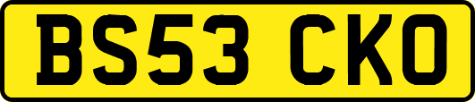 BS53CKO