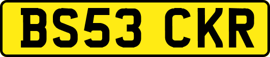 BS53CKR