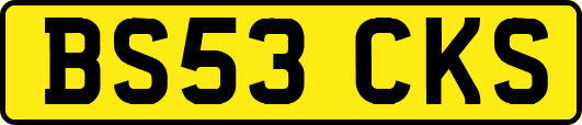 BS53CKS