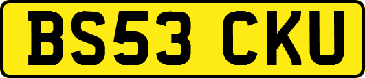 BS53CKU