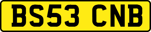 BS53CNB