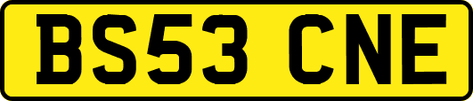 BS53CNE