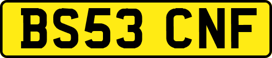 BS53CNF