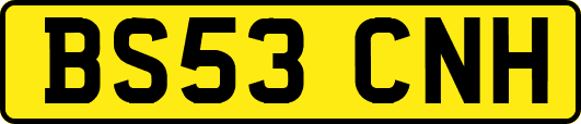 BS53CNH