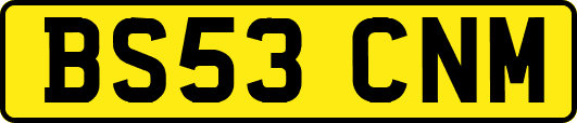 BS53CNM