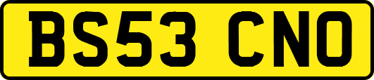 BS53CNO