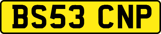 BS53CNP