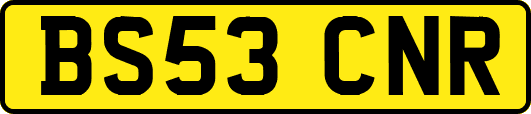 BS53CNR