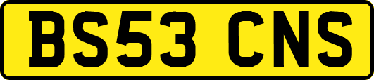 BS53CNS