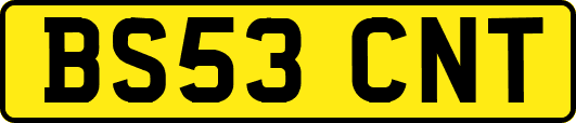 BS53CNT
