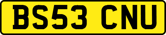 BS53CNU