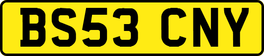 BS53CNY