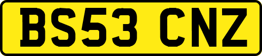 BS53CNZ