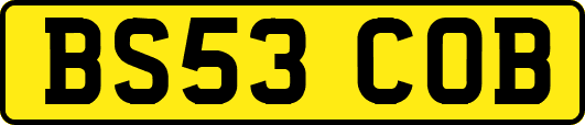 BS53COB