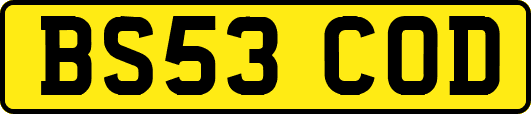 BS53COD