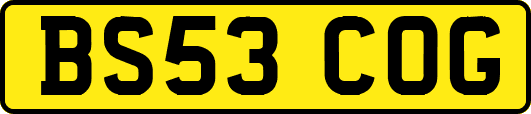 BS53COG
