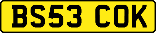 BS53COK