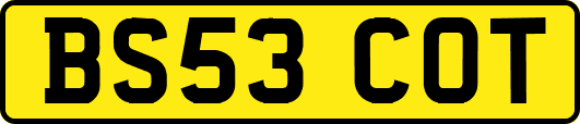 BS53COT