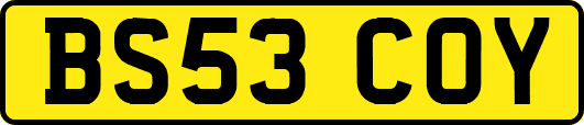 BS53COY