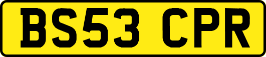 BS53CPR