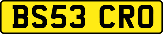 BS53CRO