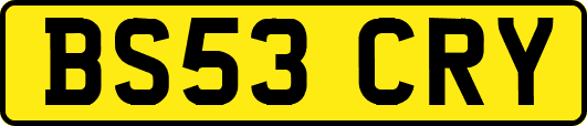 BS53CRY