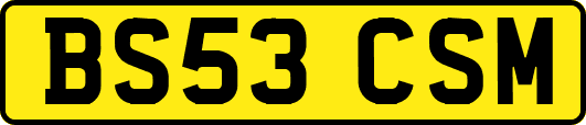 BS53CSM