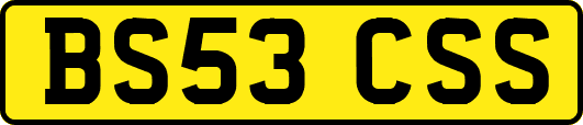 BS53CSS