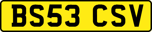 BS53CSV