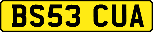 BS53CUA