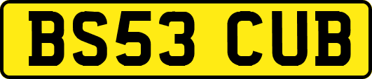 BS53CUB