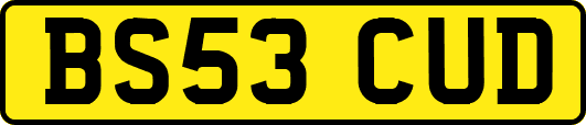 BS53CUD