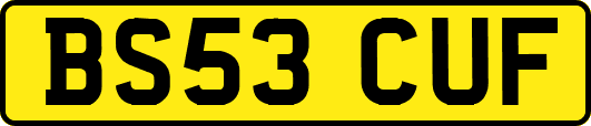 BS53CUF