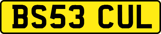 BS53CUL