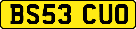 BS53CUO