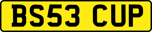 BS53CUP
